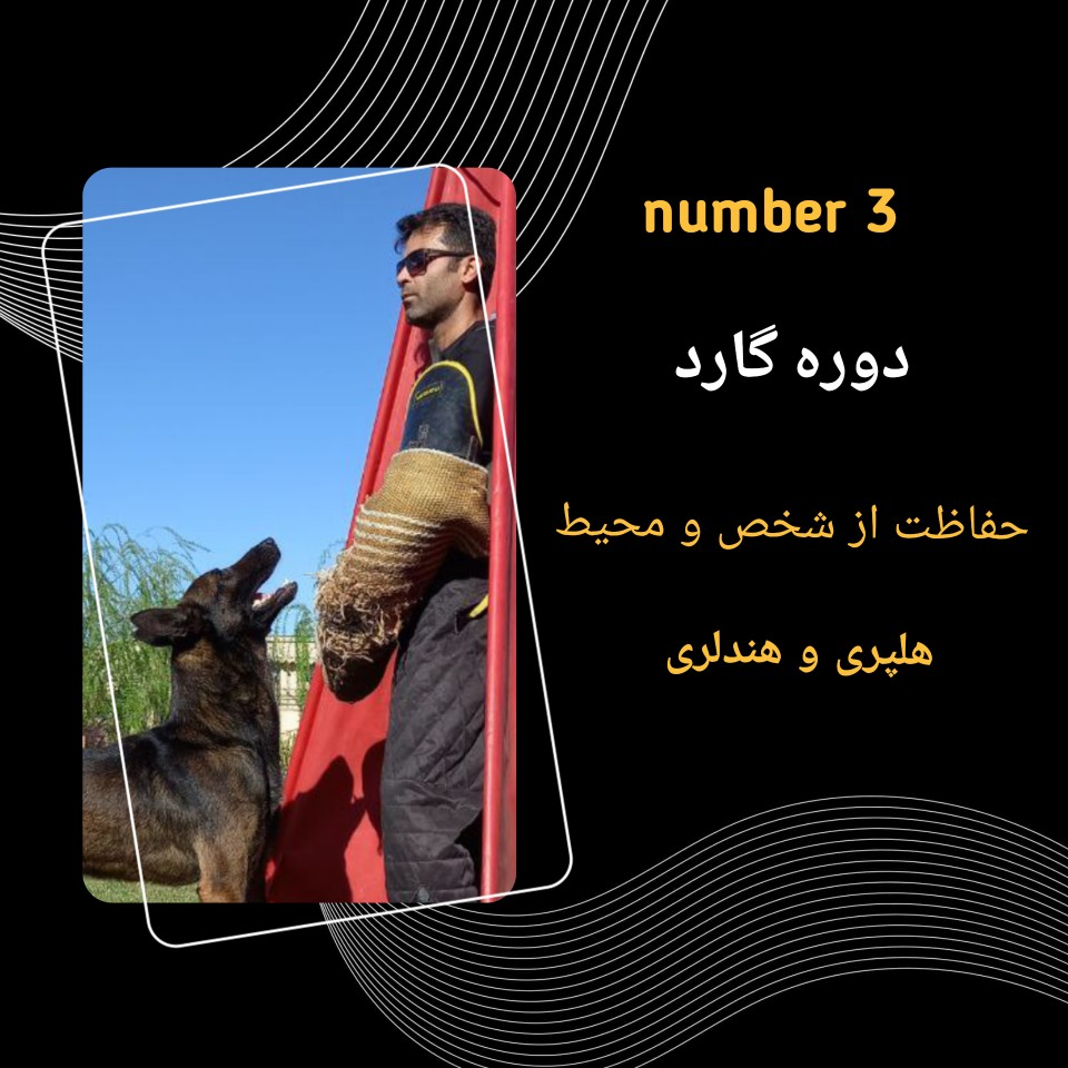 مربی سگ 